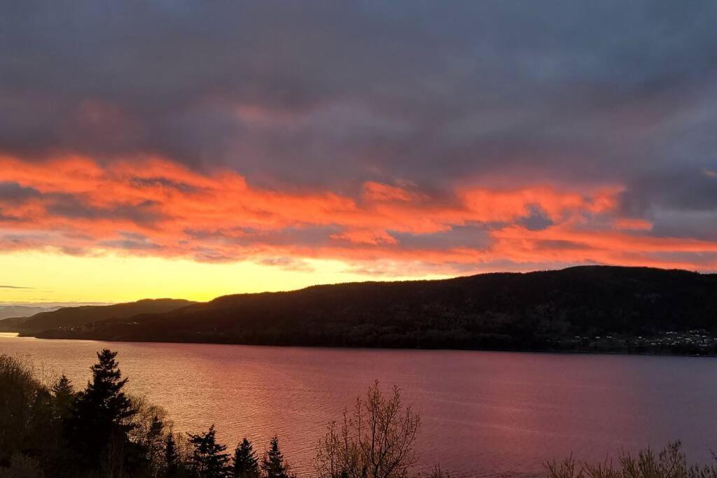 Coastal Lookout Suites Corner Brook Eksteriør billede