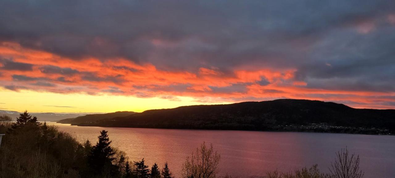 Coastal Lookout Suites Corner Brook Eksteriør billede